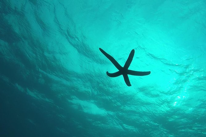 Snorkeling in the Blue Cave area【Okinawa Prefecture: Free feeding & photo images!English and Chinese speaking guide available! - When the Blue Cave is closed