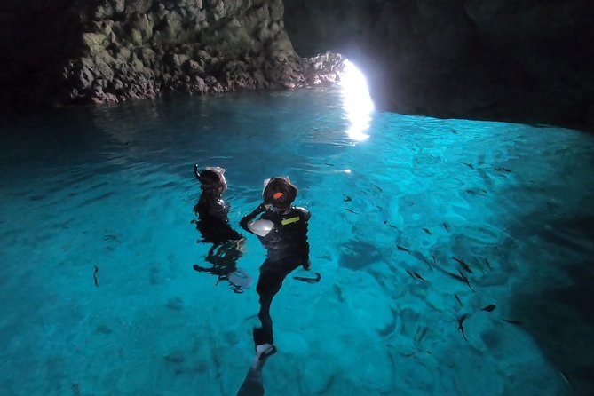 Snorkeling in the Blue Cave area【Okinawa Prefecture: Free feeding & photo images!English and Chinese speaking guide available! - Who will enjoy this most