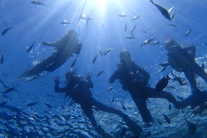 Snorkeling in the Blue Cave area【Okinawa Prefecture: Free feeding & photo images!English and Chinese speaking guide available! - The shallow-water lesson helps beginners