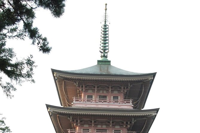 Snow Monkey Park & Zenkoji Temple Nagano Pvt. Full Day Tour. - Is $800 a fair price?