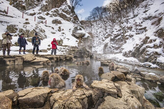 Snow Monkeys, Hokusai & Sake: A Perfect Day in Nagano - Lunch in Obuse with local choices