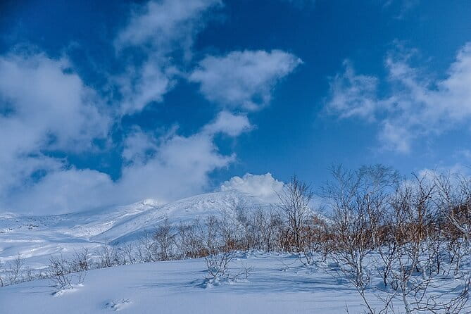 Snowshoe Adventures and Onsen Bliss Winter Escape in Furano - Leaving Furano for Daisetsuzan’s winter forest