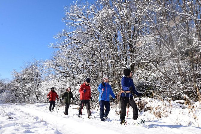 Snowshoe Hike Tour from Sapporo include hotel p/up & drop off - The 9:00 a.m. pickup and ride into the mountains