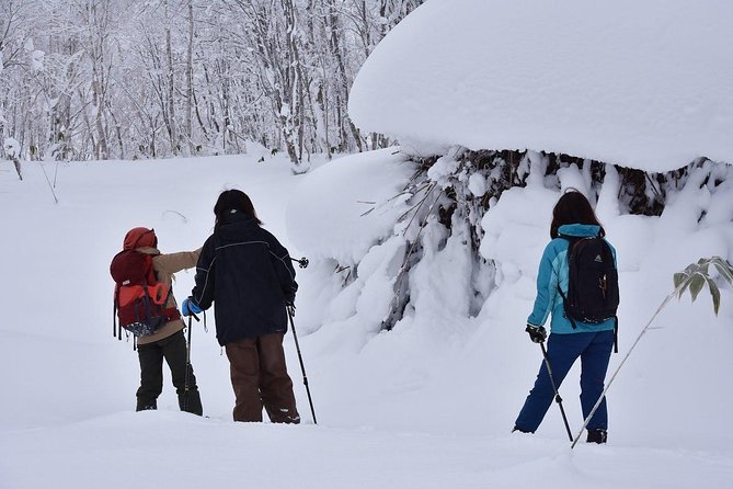 Snowshoe Hike Tour from Sapporo include hotel p/up & drop off - Guides Sumi and Taki make the difference