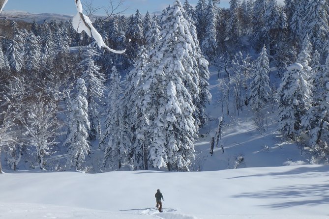 Snowshoe Hike Tour from Sapporo include hotel p/up & drop off - Tea, local snacks, and the lunch question