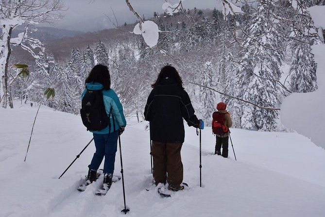 Snowshoe Hike Tour from Sapporo include hotel p/up & drop off - Warming up at Jozankei Onsen