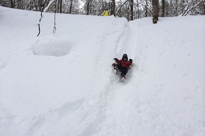 Snowshoe Hike Tour from Sapporo include hotel p/up & drop off - What the $308.73 price really buys
