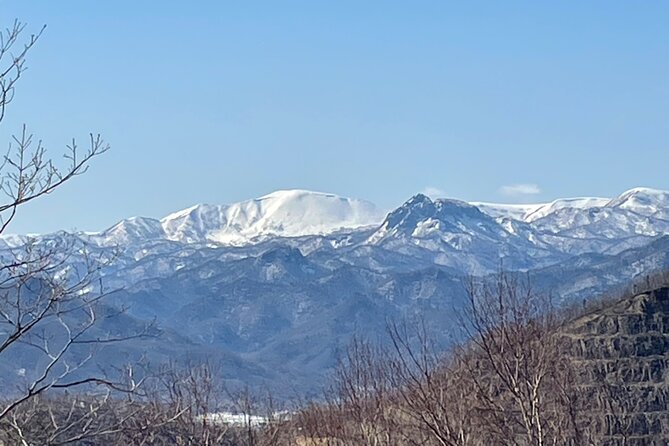 Snowshoeing and Onsen Adventures in a Winter Wonderland -Sapporo. - The short version: quiet snow, a small group, and a hot bath