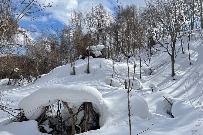 Snowshoeing and Onsen Adventures in a Winter Wonderland -Sapporo. - A flexible guide makes the difference