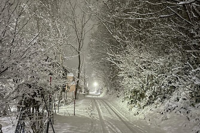 Snowshoeing and Onsen Adventures in a Winter Wonderland -Sapporo. - What $224.02 buys you