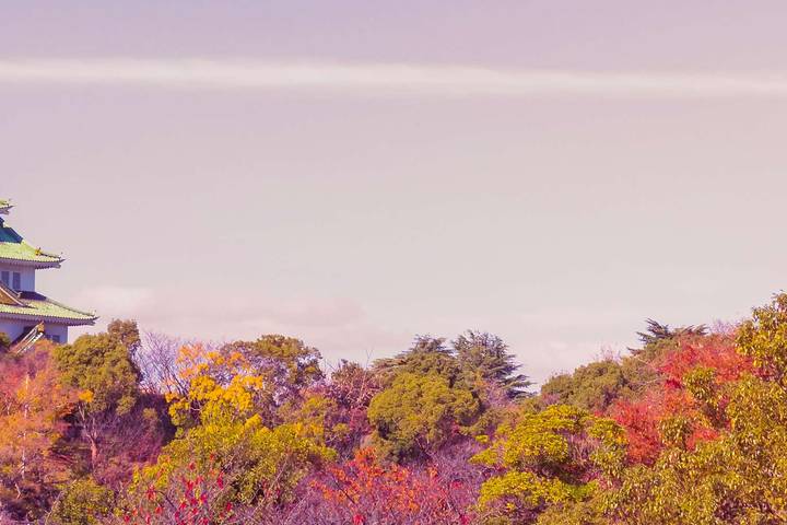 Southern Japan Experience by Intrepid Travel - 12 Days from Osaka Review - What makes this southern Japan trip worthwhile