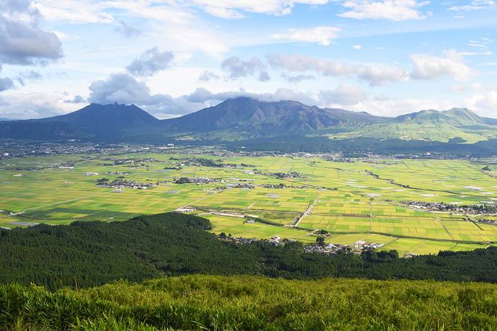 Southern Japan Experience by Intrepid Travel - 12 Days from Osaka Review - Matsuyama: castle views and a famous bathhouse