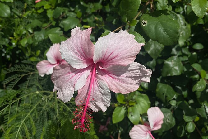 Spirit of Ishigaki: Explore the land and Lore - Kabira Bay, where scenery comes with a story