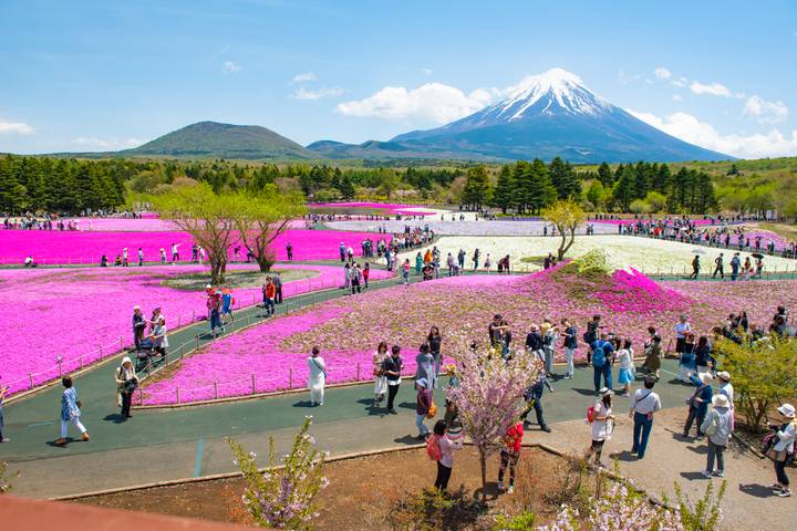 Splendours of Japan (Hiroshima, Takayama Festival) by Trafalgar - 13-Day Tour - Thirteen days from Tokyo to Osaka