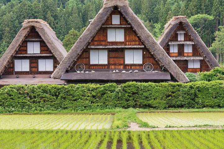 Splendours of Japan (Takayama, Takayama Festival) by Trafalgar - 9-Day Tour - Tokyo begins with temples, crafts and a high view
