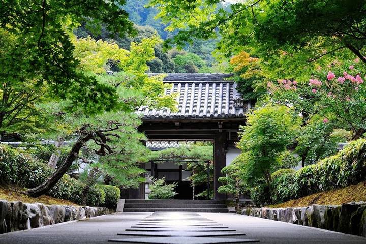 Stunning Japan with Shirakawa-go by Stunning Tours - 8-Day Tour Review - Who should book this Japan tour?