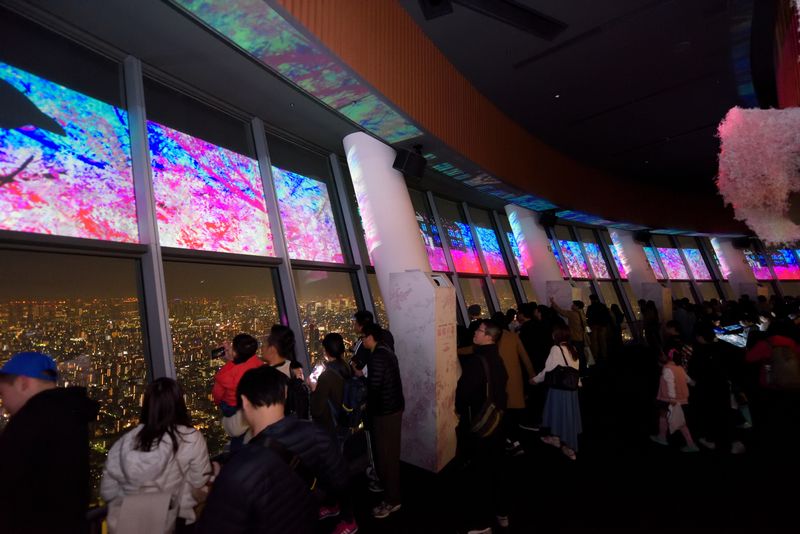 Sumida Aquarium Ticket in Tokyo - Is the Skytree combination worth it?