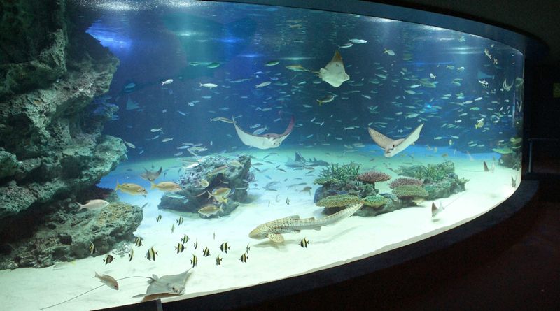 Sunshine Aquarium Ticket in Tokyo - A rooftop aquarium in the middle of Ikebukuro