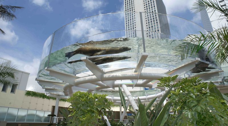 Sunshine Aquarium Ticket in Tokyo - The outdoor animals and the Sunshine Aqua Ring