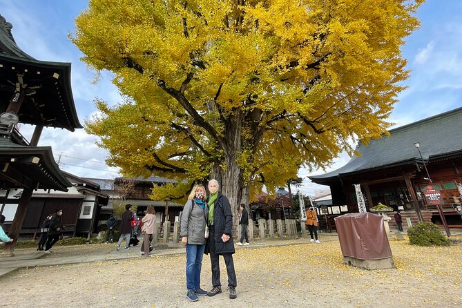 Takayama Local Cuisine, Food & Sake Cultural Tour with Government-Licensed Guide - Why six hours works well in Takayama