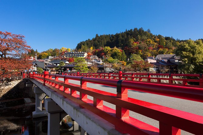 Takayama Old Town Walking Tour with Local Guide - What the guide adds to the experience