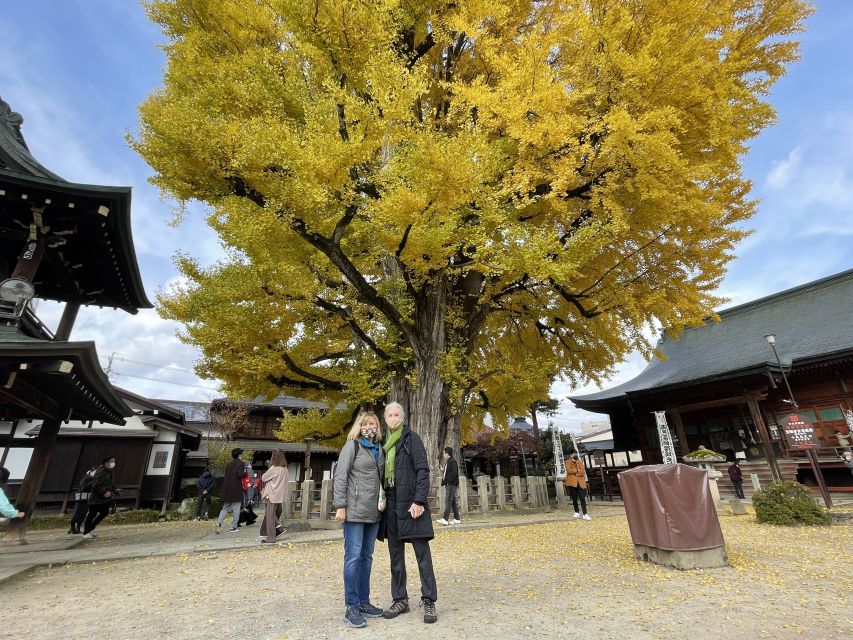 Takayama: Private Walking Tour with a Local Guide - Sanmachi Street and Takayama’s Edo-period core