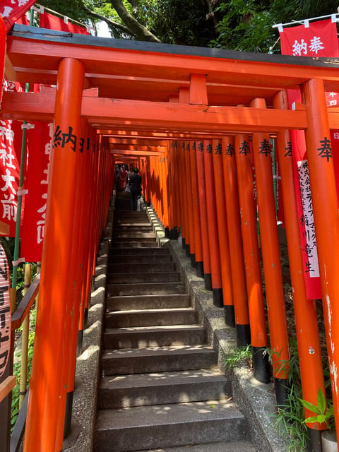 Tameike: Exploring the Heart of Japanese Politics Tour - What the guide adds to the experience