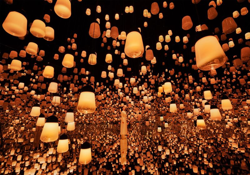 teamLab Biovortex Kyoto ticket - A different kind of art stop in Kyoto