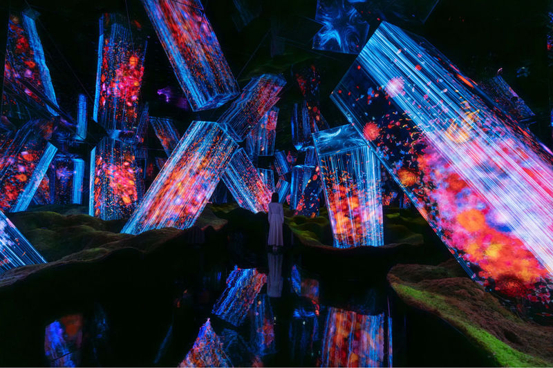 teamLab Biovortex Kyoto ticket - Athletics Forest makes art physical