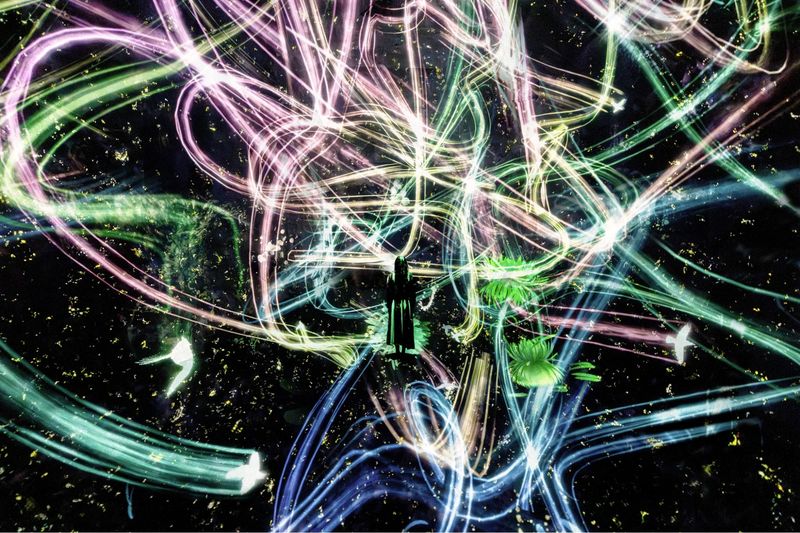 teamLab Biovortex Kyoto ticket - How much time to set aside