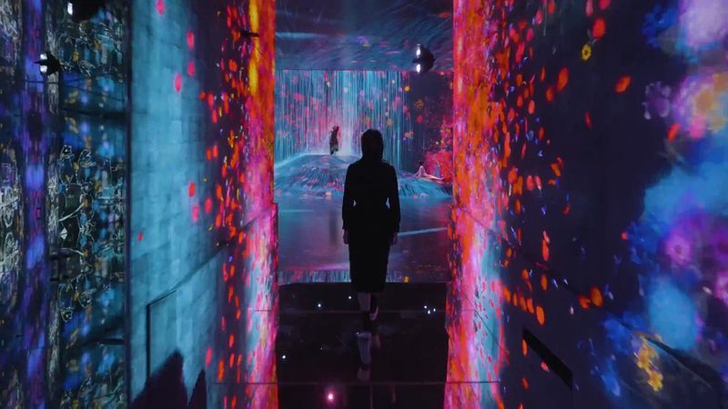 teamLab Borderless Tickets: MORI Building DIGITAL ART MUSEUM - What to know before you go