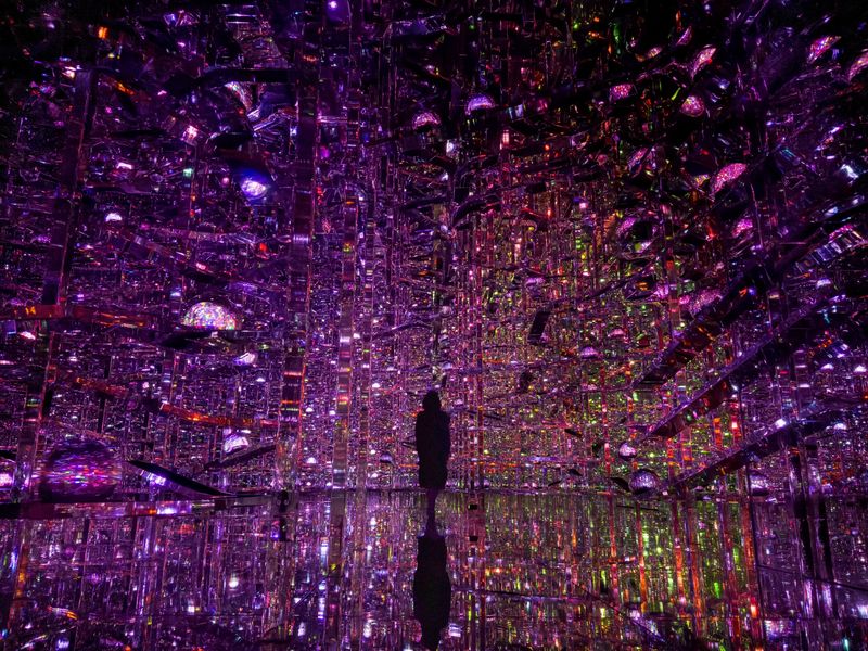 teamLab Borderless Tickets: MORI Building DIGITAL ART MUSEUM - Crowds, comfort, and who will enjoy it