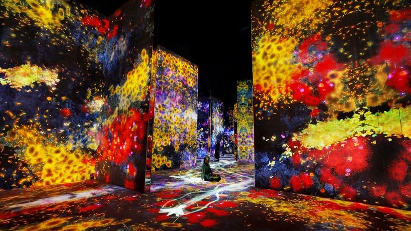 teamLab Borderless Tickets: MORI Building DIGITAL ART MUSEUM - Getting there and making the most of your visit