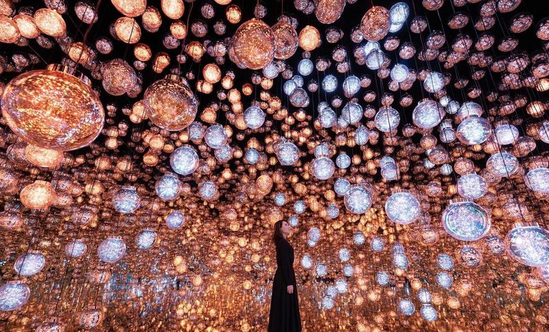 teamLab Borderless Tickets: MORI Building DIGITAL ART MUSEUM - Is the ticket good value?