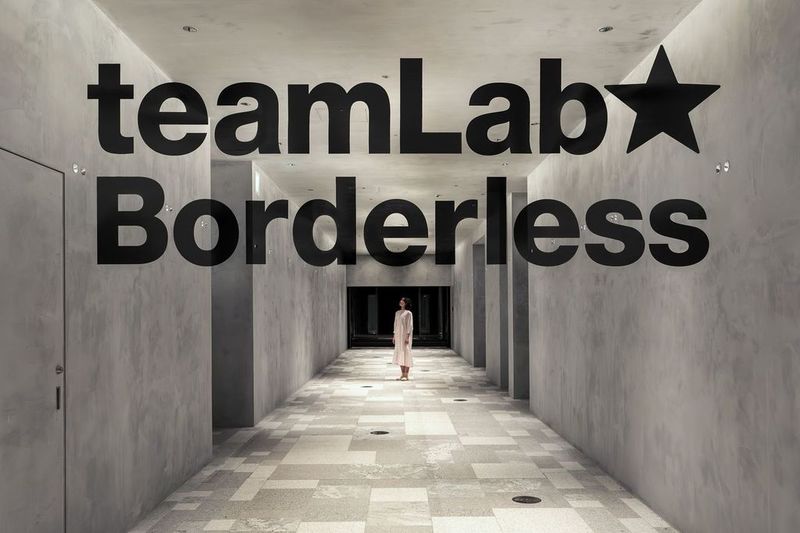 teamLab Borderless Tickets: MORI Building DIGITAL ART MUSEUM - Should you book teamLab Borderless?