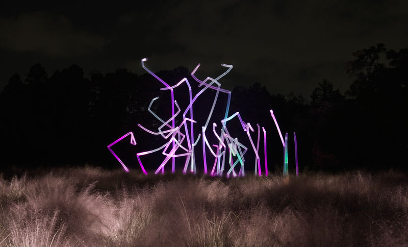 teamLab Botanical Garden Osaka Ticket - What to know before you go