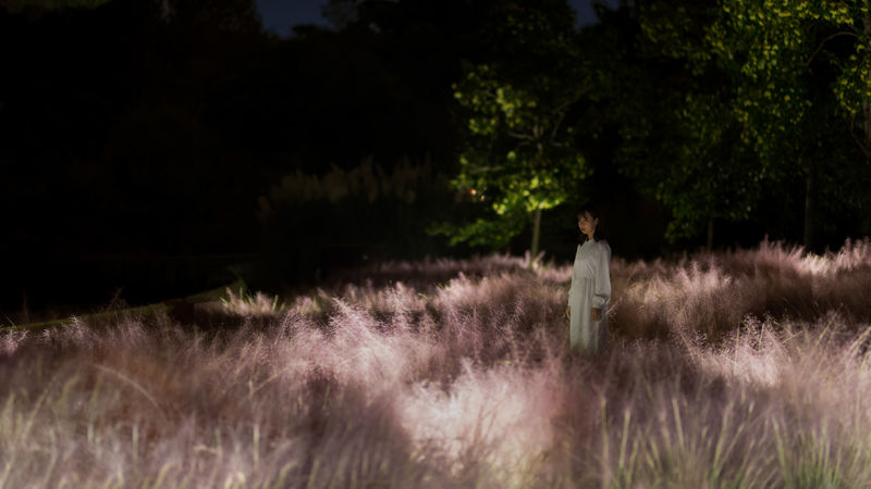 teamLab Botanical Garden Osaka Ticket - Entering Nagai Botanical Garden after dark