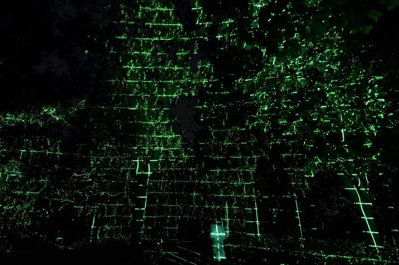 teamLab Botanical Garden Osaka Ticket - Is the ticket good value?