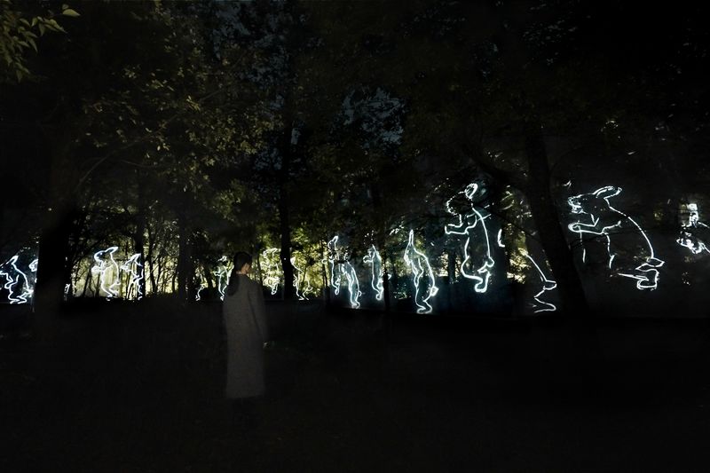 teamLab Botanical Garden Osaka Ticket - Should you book teamLab Botanical Garden Osaka?