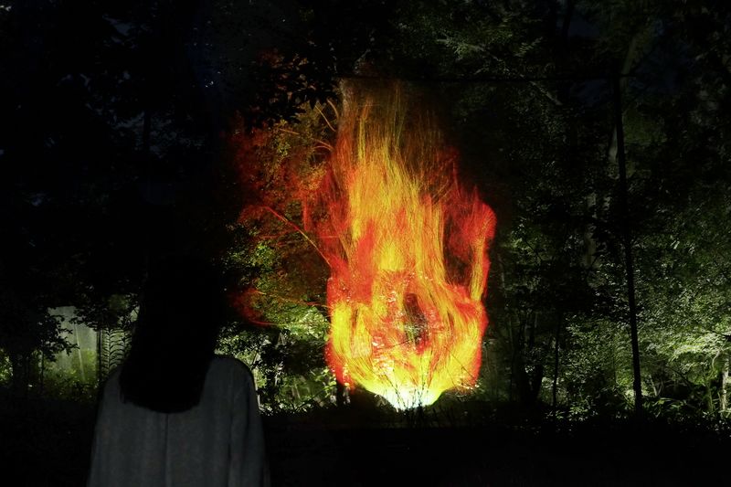 teamLab Botanical Garden Osaka Ticket - FAQ