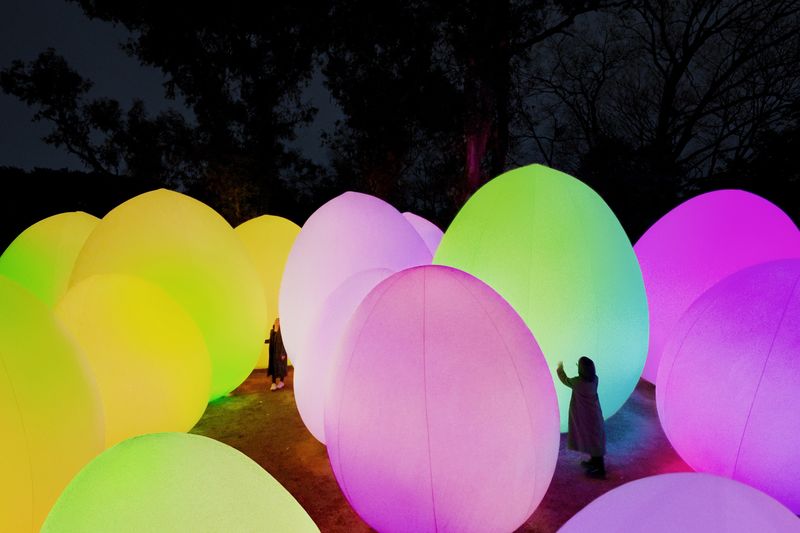 teamLab Botanical Garden Osaka Ticket - Following the artworks through the garden