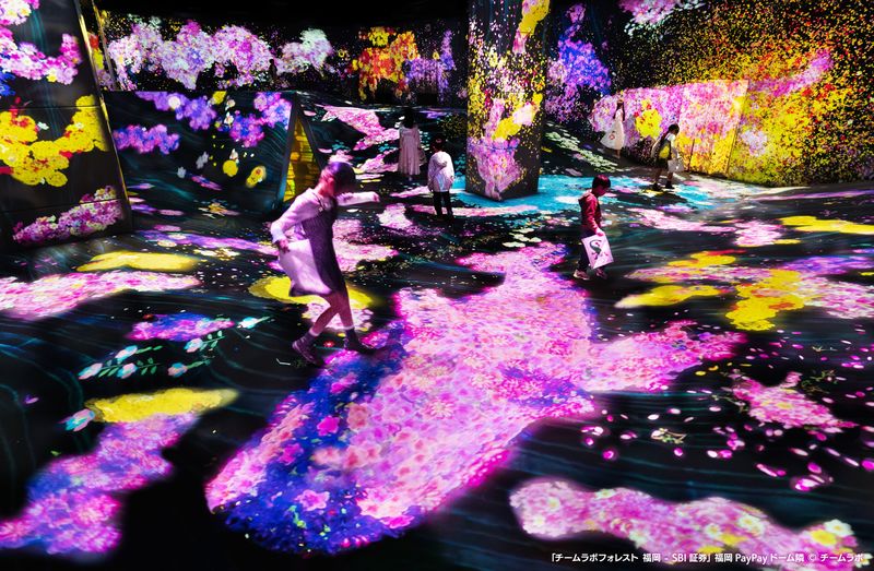 teamLab Forest Fukuoka Ticket - Key points before you go