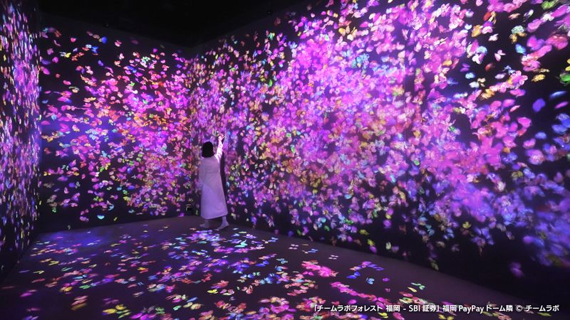teamLab Forest Fukuoka Ticket - A playful digital forest above Fukuoka’s dome
