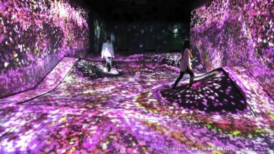 teamLab Forest Fukuoka Ticket