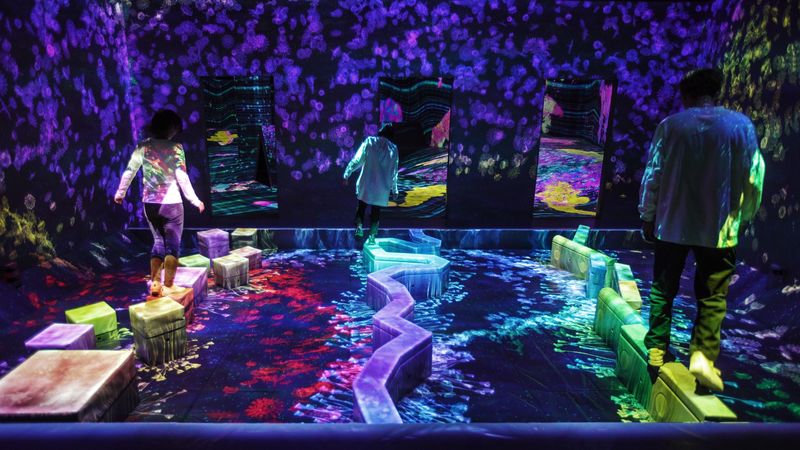 teamLab Forest Fukuoka Ticket - Tickets, entry, and practical limits
