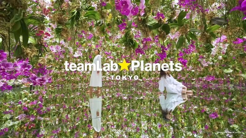 teamLab Planets TOKYO Ticket - The details to know before you book