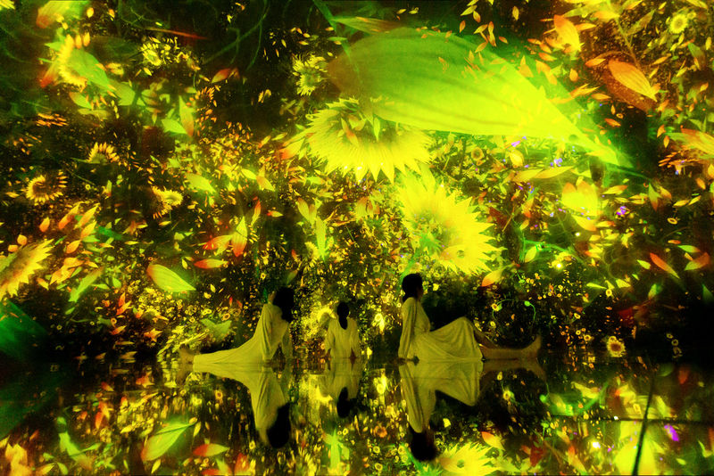 teamLab Planets TOKYO Ticket - Who will enjoy this most