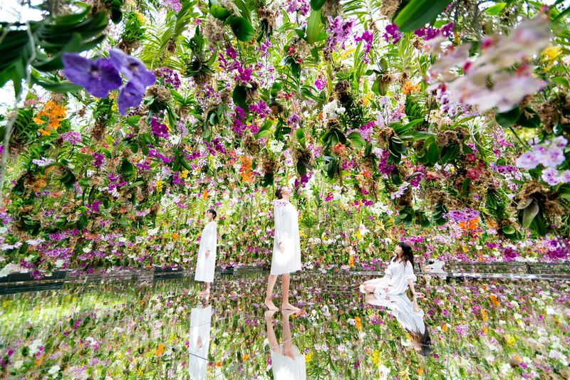 teamLab Planets TOKYO Ticket - What teamLab Planets asks you to do
