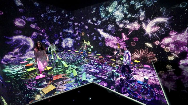 teamLab Planets TOKYO Ticket - The water room, where koi answer your movement