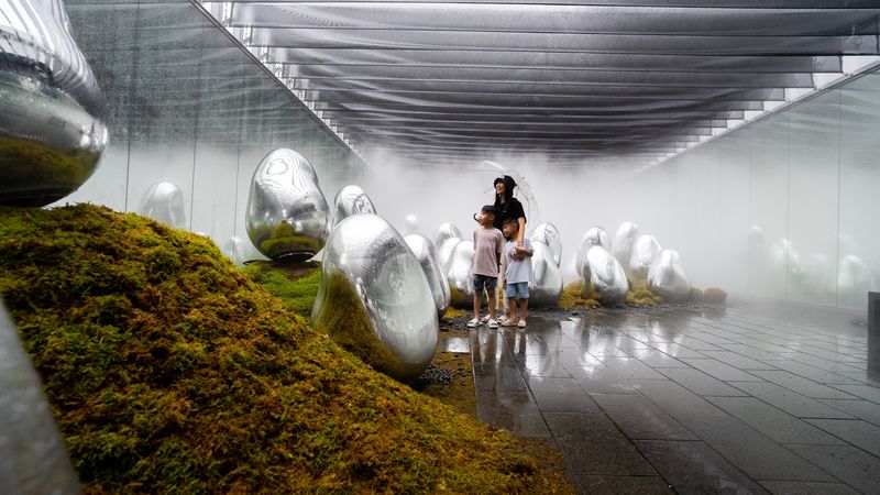 teamLab Planets TOKYO Ticket - Is the ticket worth its price?
